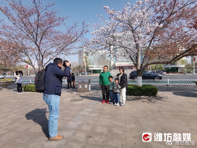 张记者拍照啦|他们又来樱花树下“撒狗粮”了~