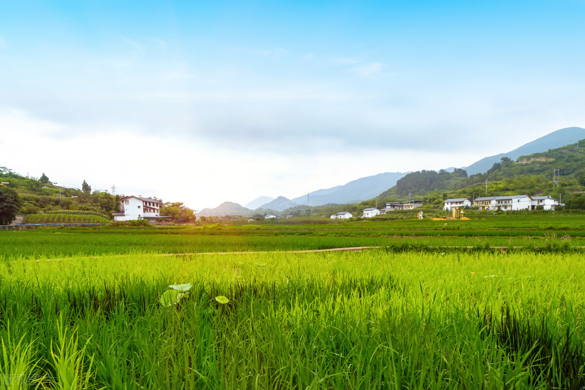 农村老墓地新政策,农村墓地改革最新政策