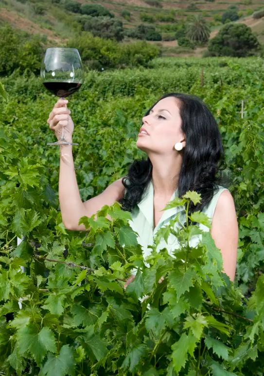 波尔多五大酒庄传奇书,波尔多五大酒庄排名榜