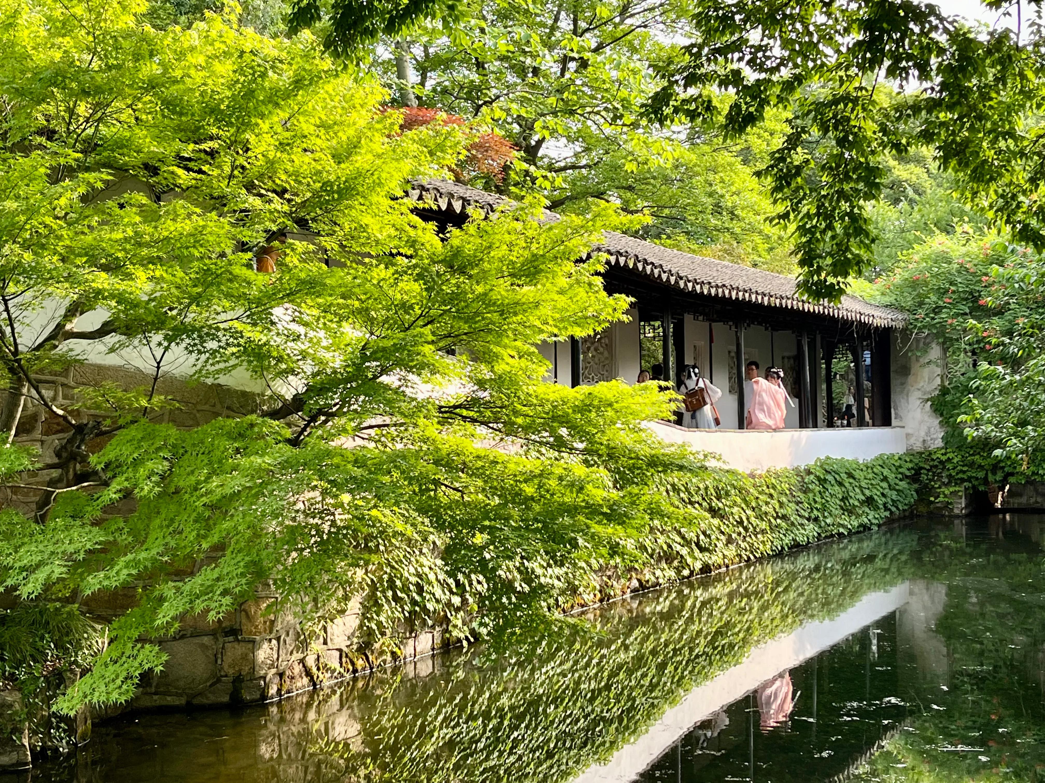 拙政园大隐隐于市,大隐隐于市安享中式庭院之美