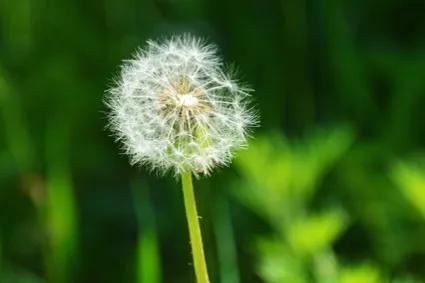 带孩子去自然博物馆看昆虫,带小朋友到大自然看昆虫