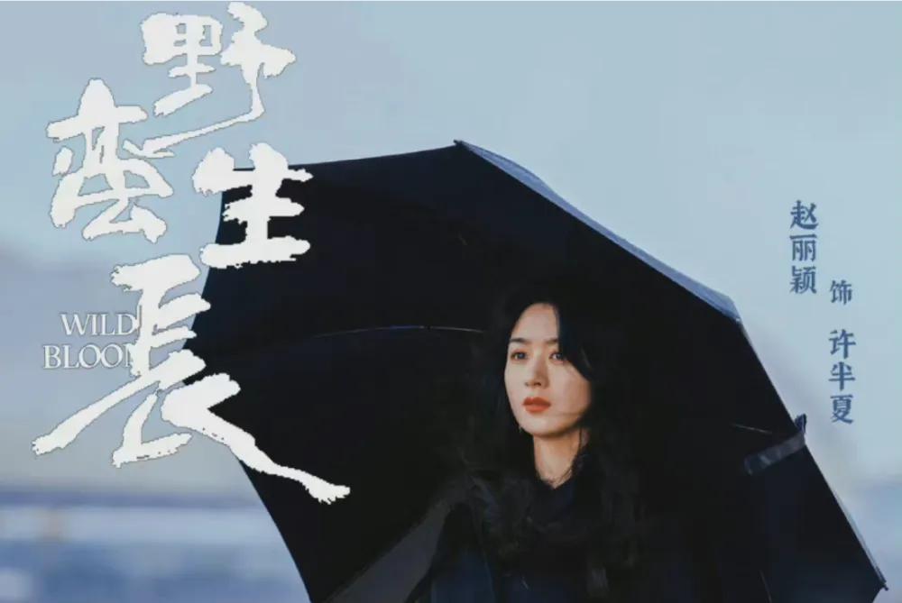 1993年就能诈骗5亿的钱宏，逃亡海外8年骗财骗色，他是如何落网的