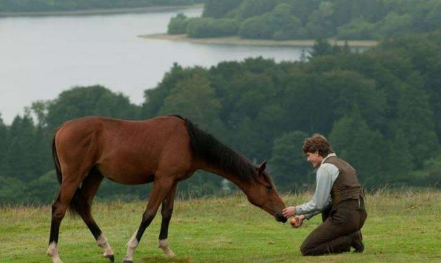 马肉为什么不像牛羊肉一样,马肉好吃为什么不常见