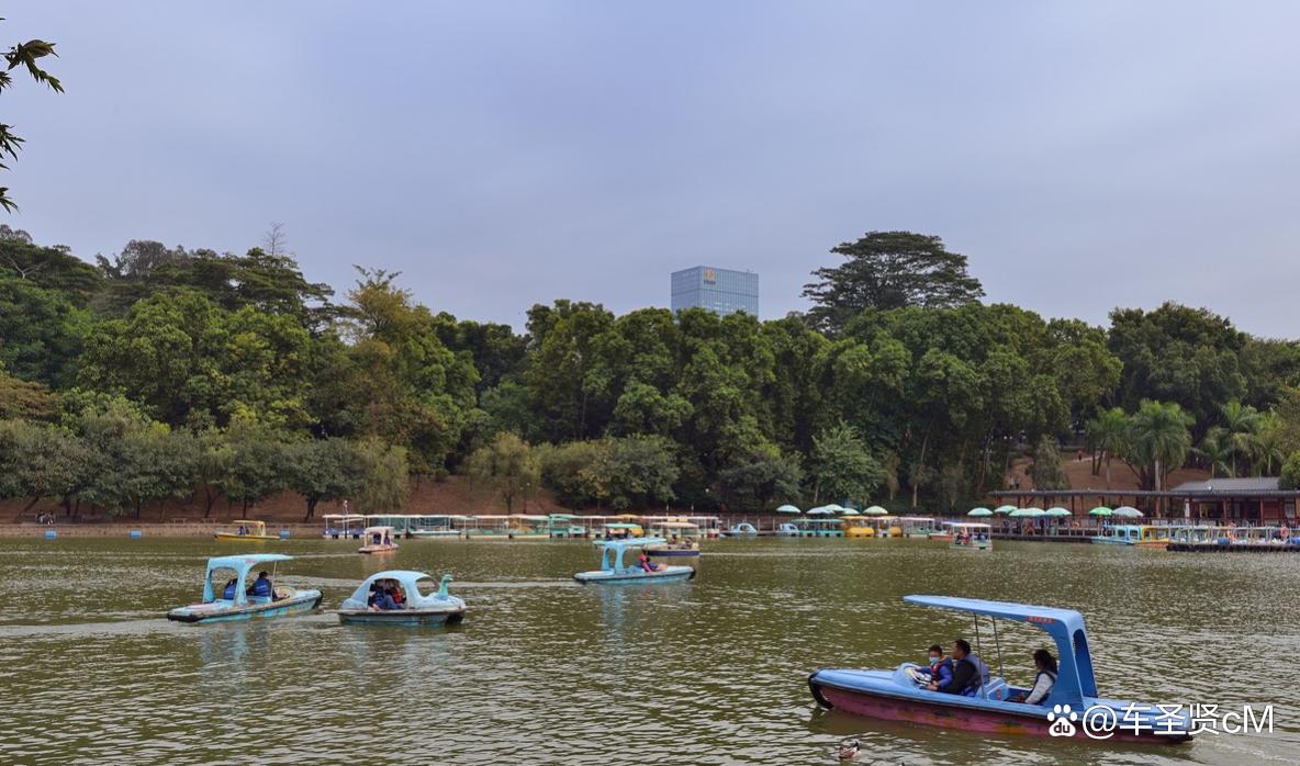 深圳莲花山公园风景,深圳人气最旺的公园