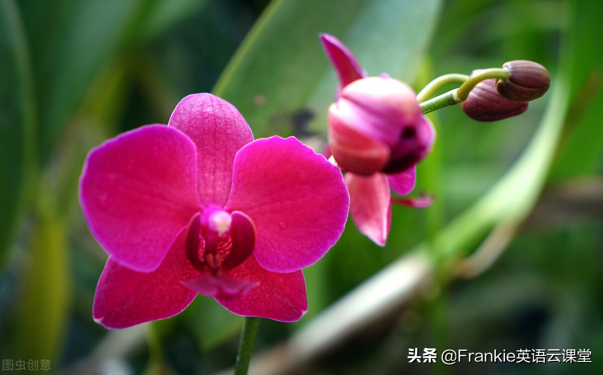 初中英语短语汇总及解析,初中英语常用短语归纳大全