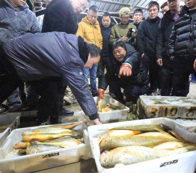 出海抓鱼一个月可以赚多少钱,打一次鱼能赚多少钱