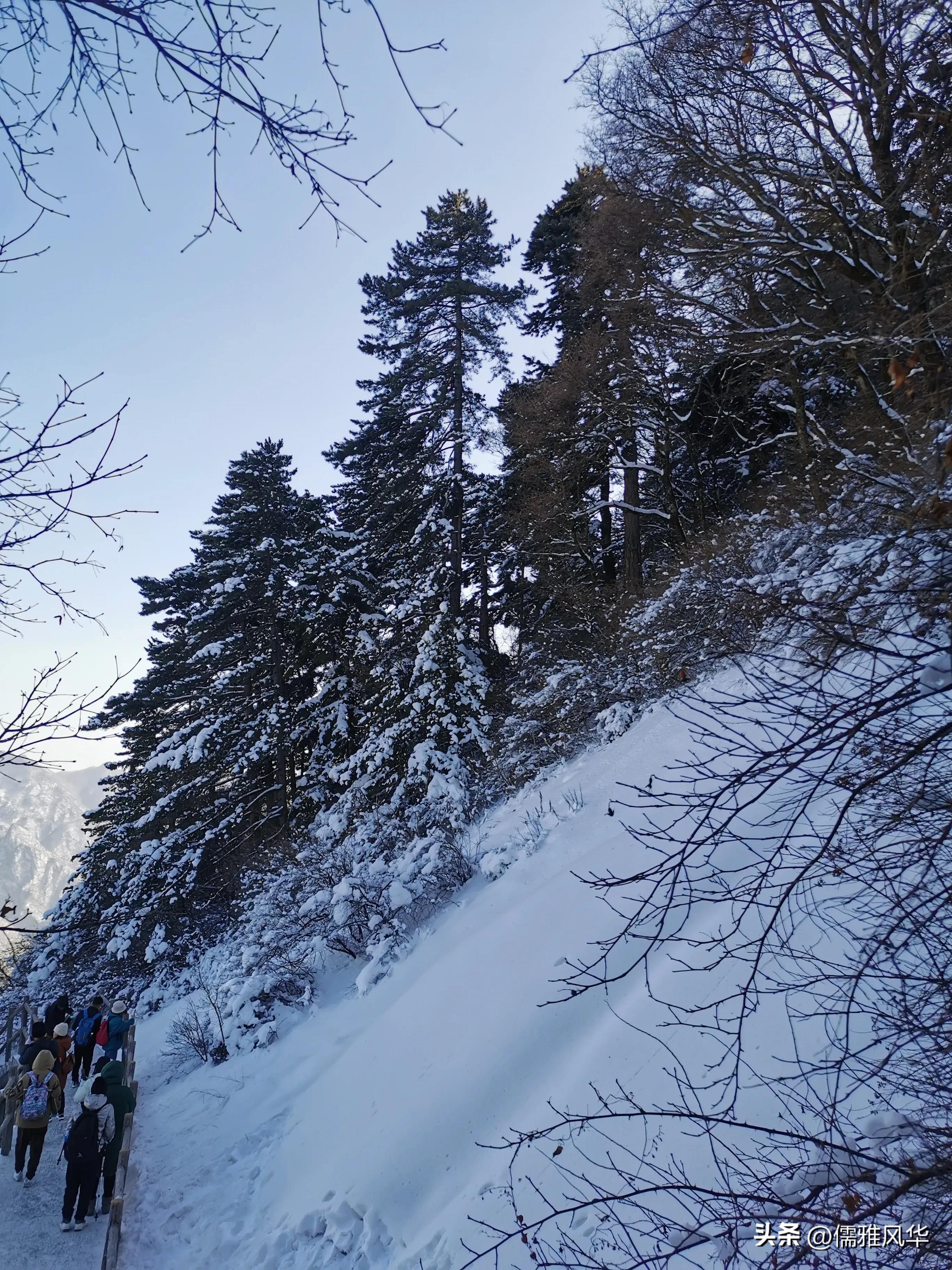 久违的西安之行,西安行记第三天