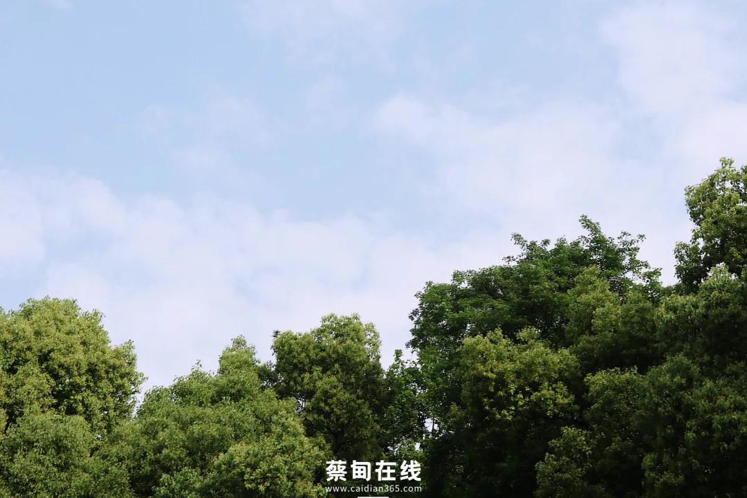 武汉气温回升,武汉气温回暖最新消息