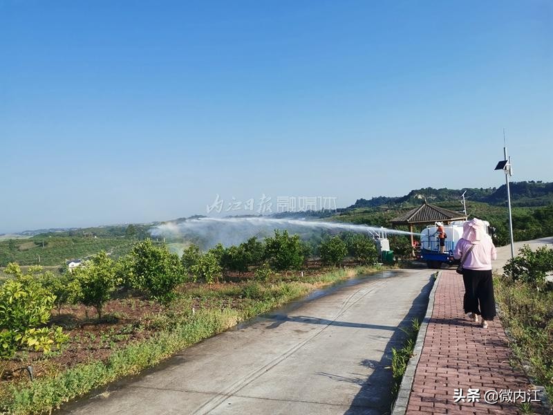 农田旱情是怎么形成的,农业旱情统计