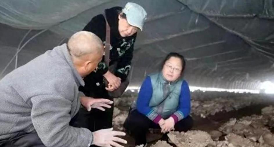 15个家庭致富小项目,15年投资零元致富商机