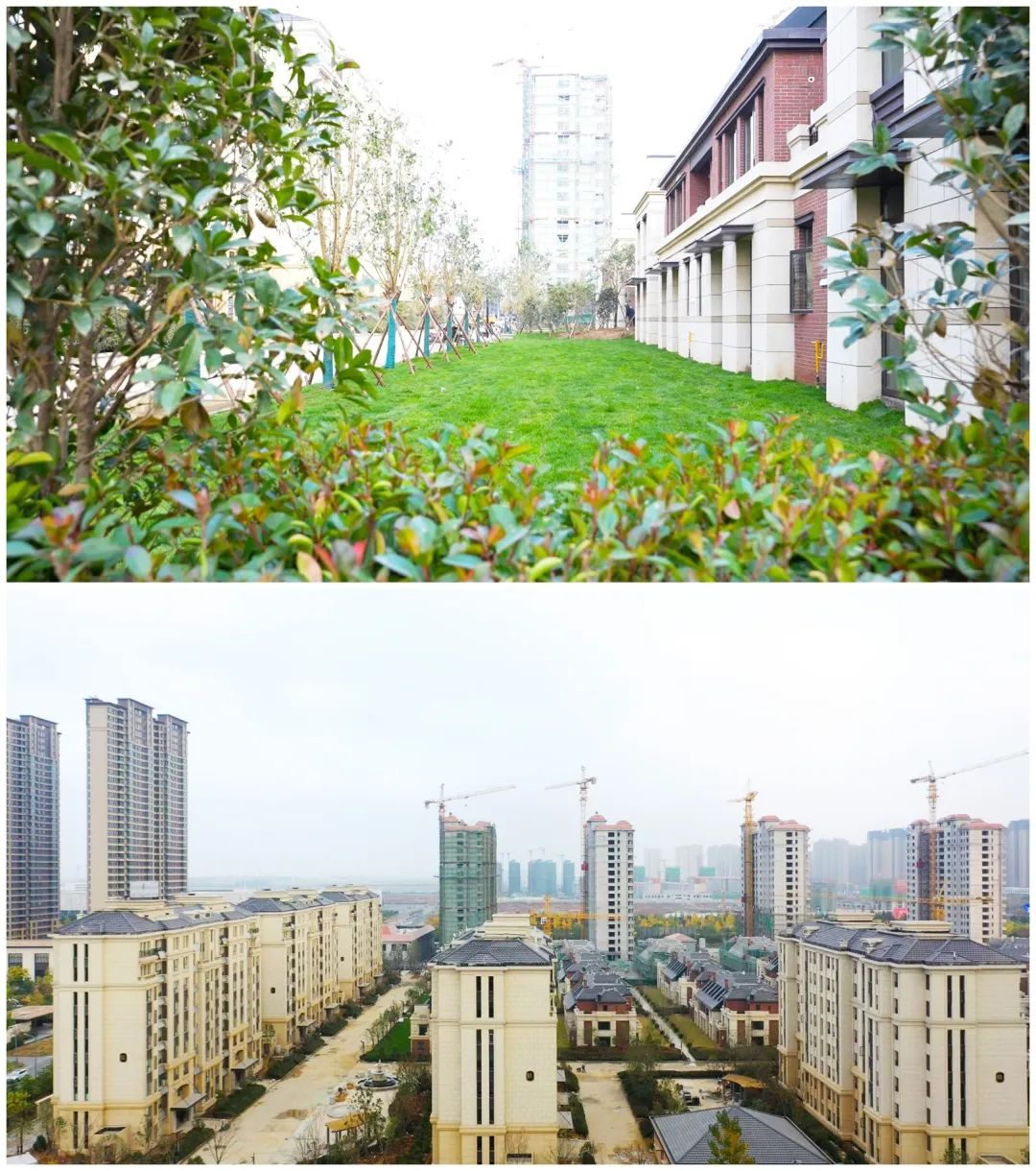 师专附小扩建,师专一附小