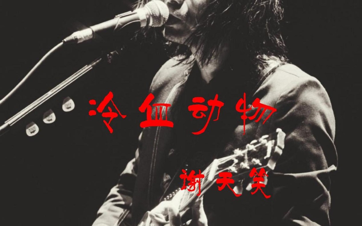 山东淄博出名的人,山东淄博籍的十大明星