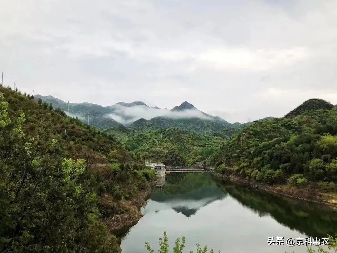 门头沟美丽乡村规划,门头沟乡村振兴