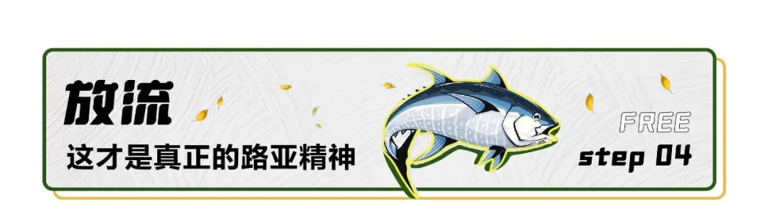 新手学钓鱼应该用什么鱼饵,想学钓鱼如何入门