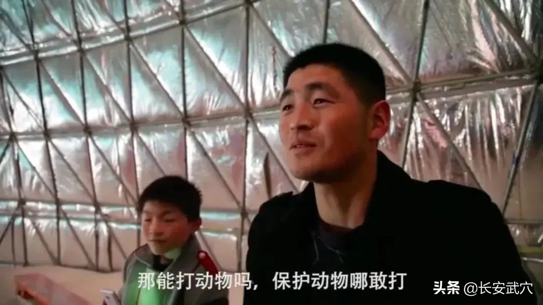 全网最近大事件,最大丑闻案件