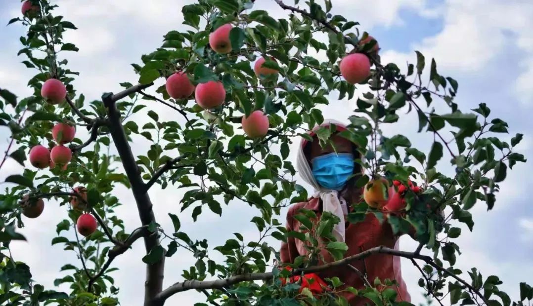 深秋等你到来,深秋等你来