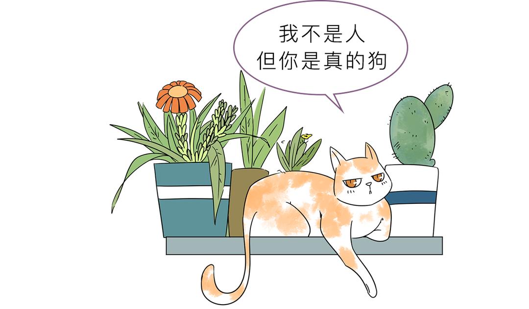 被峨眉山猴子打可以反击吗,峨眉山猴子被人类反杀