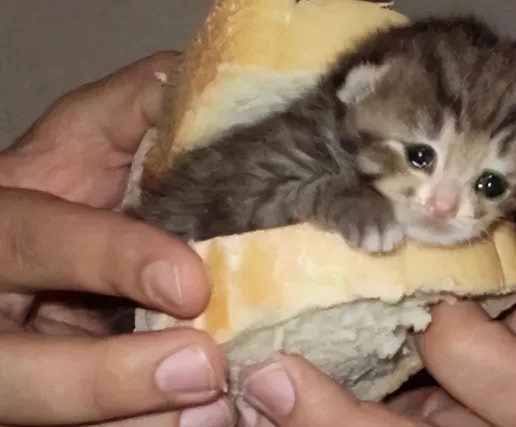 20万开店日营业额仅79元创业失败,20万投资实体店生意惨淡