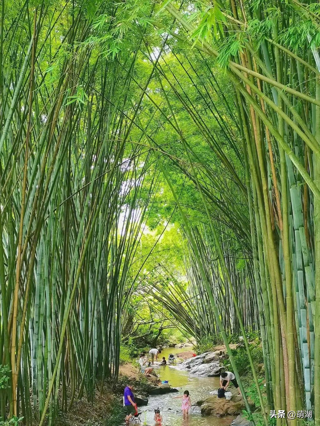 广州这个竹林溯溪胜地玩水,清凉避暑好去处山洞里一起来玩水