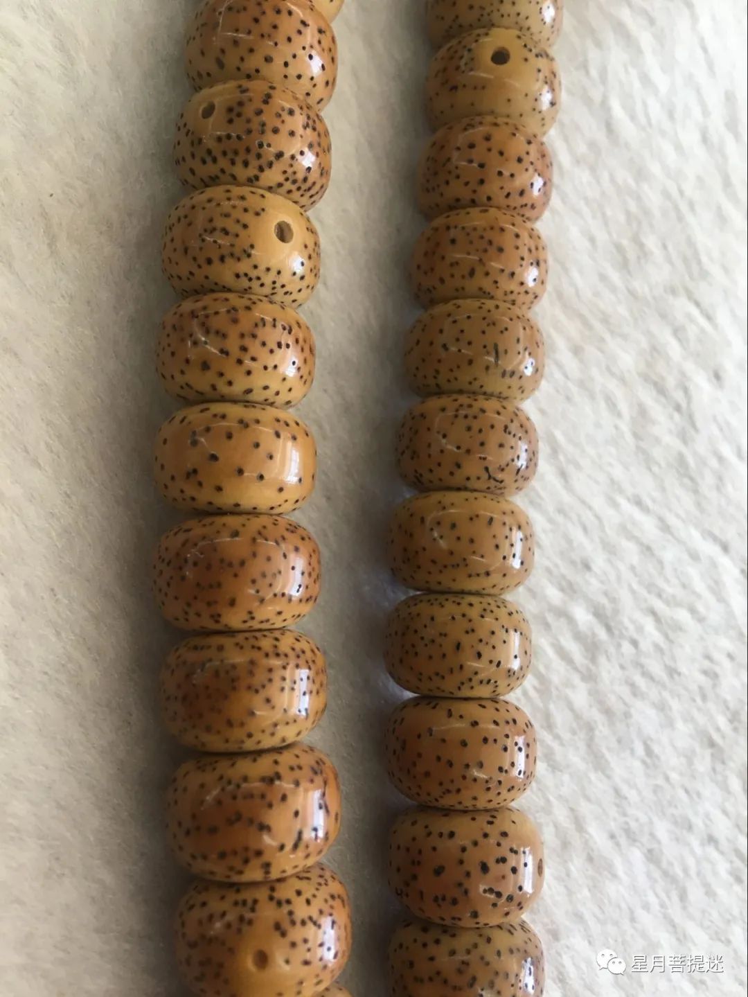 星月菩提盘起来发红,星月菩提快速盘红