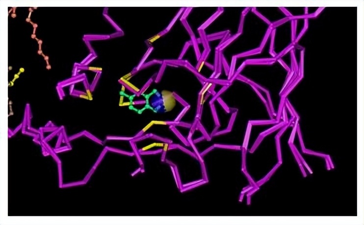 血红素蛋白结构与功能,血红素蛋白的作用效果