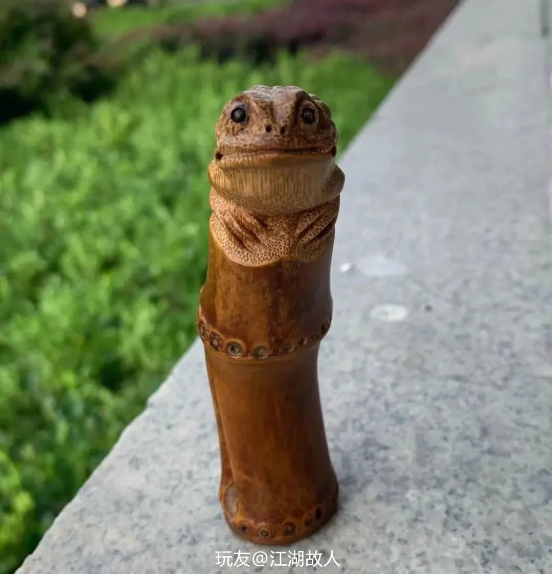 宁可食无肉不可居无竹是指竹子吗,易经说宁可食无肉不可家里无竹子