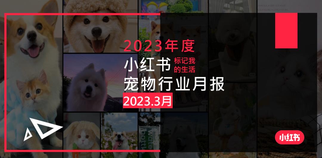 小红书2023年度总结入口,小红书美妆行业分析