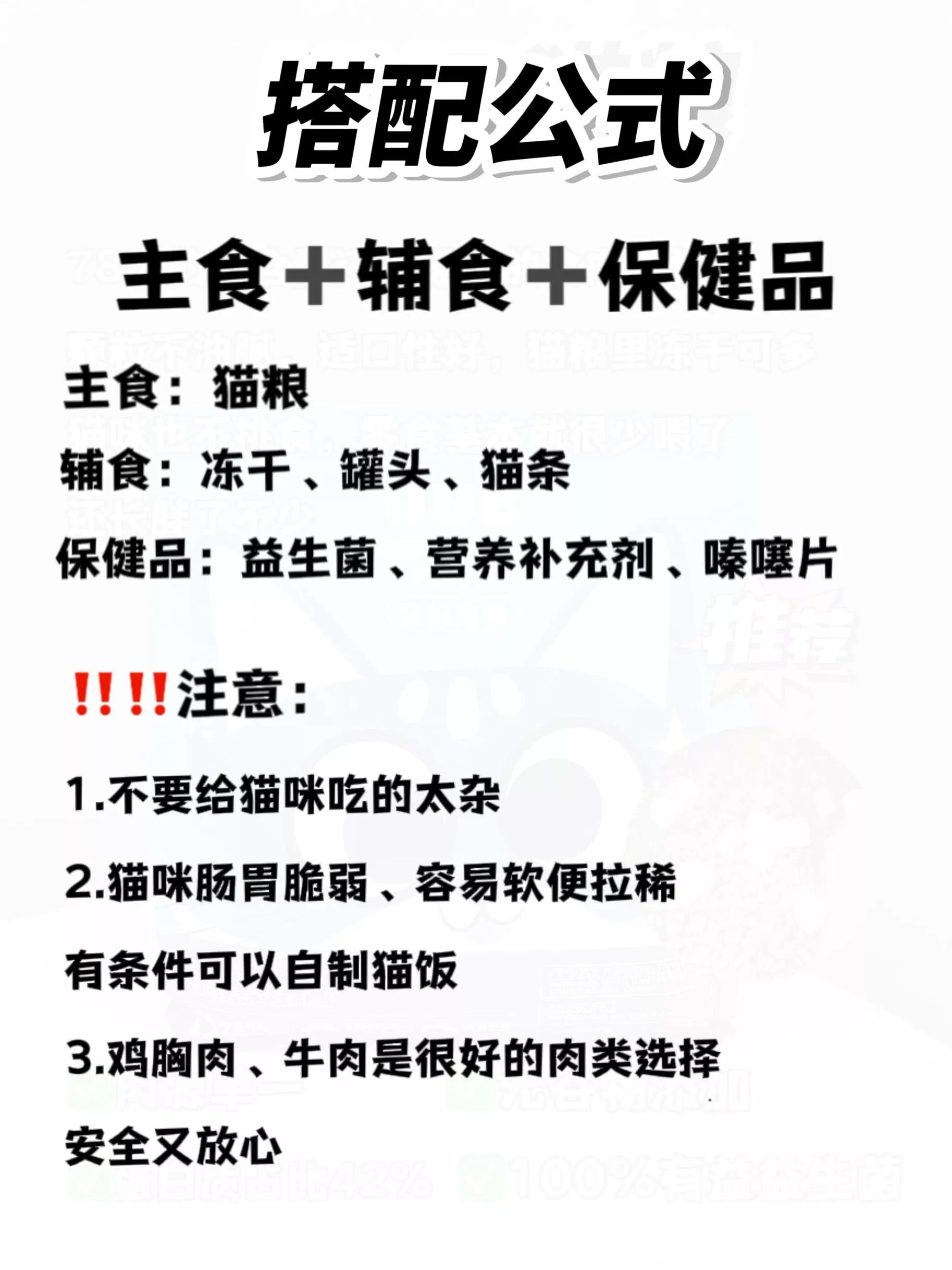 月均花费200低成本养猫攻略,月收入2000养猫