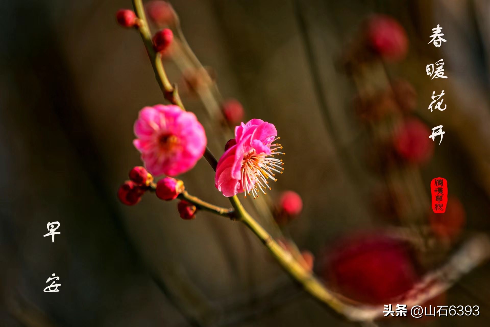 【战友美文】郭福成（天王福哥）：《*梦春**》（诗）