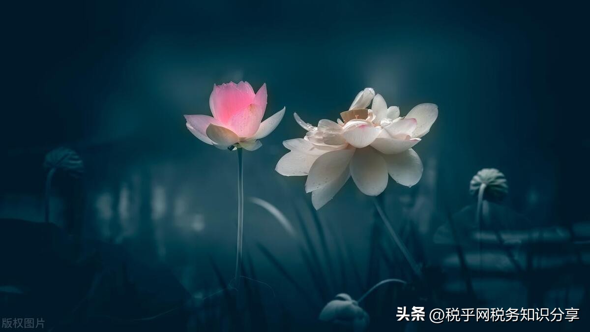 重大税收违法失信主体公布,重大税收违法失信主体