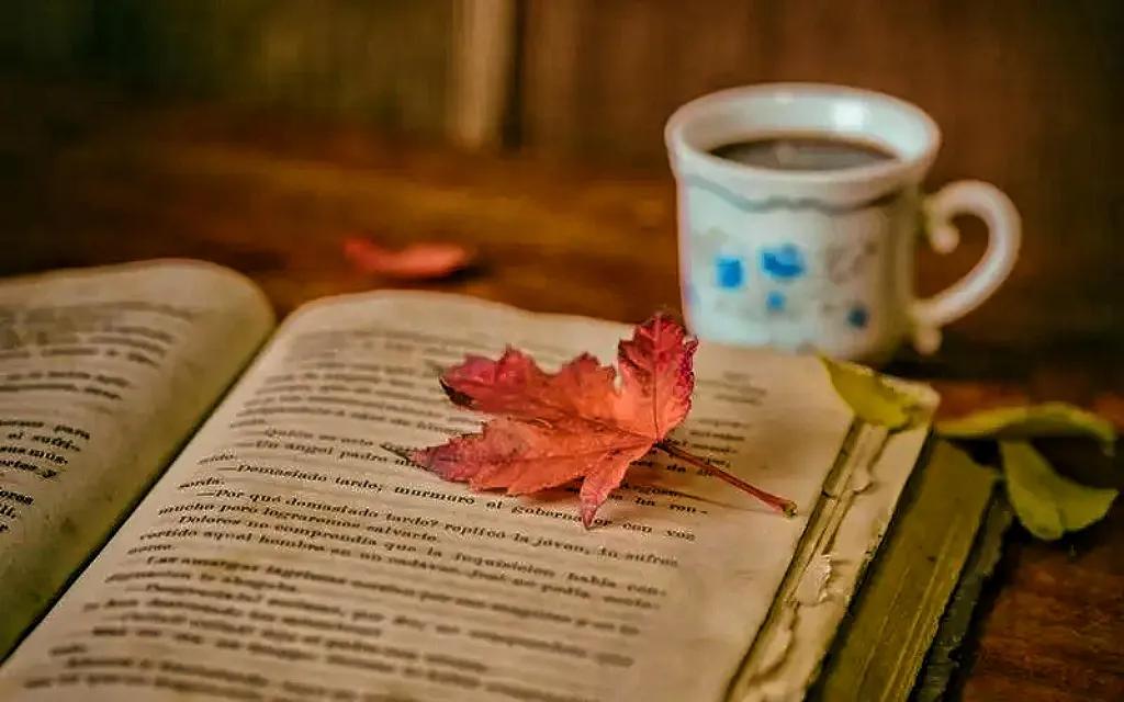 面试怼hr是正确的吗,女生面试怒怼hr实录