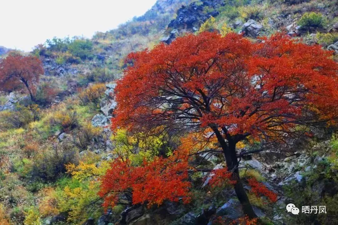 东行漫记长篇纪实,闫涛的东行漫记