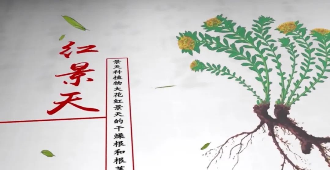 一方水土养一方药,一方水土养一方人文章