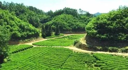 驱魔一百六十四小时