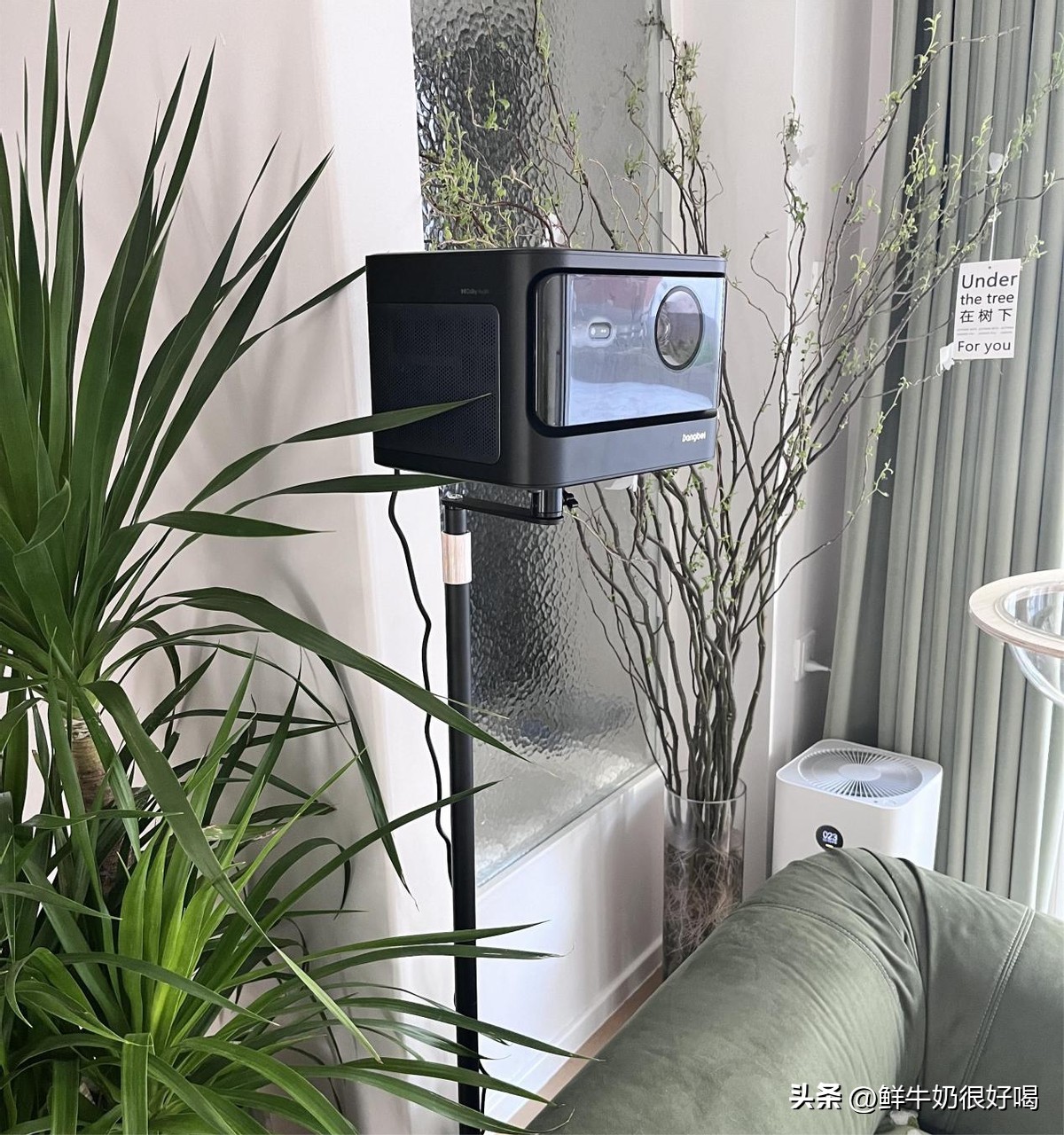 投影仪亮度与流明多少最好,投影仪有100000流明亮度的吗