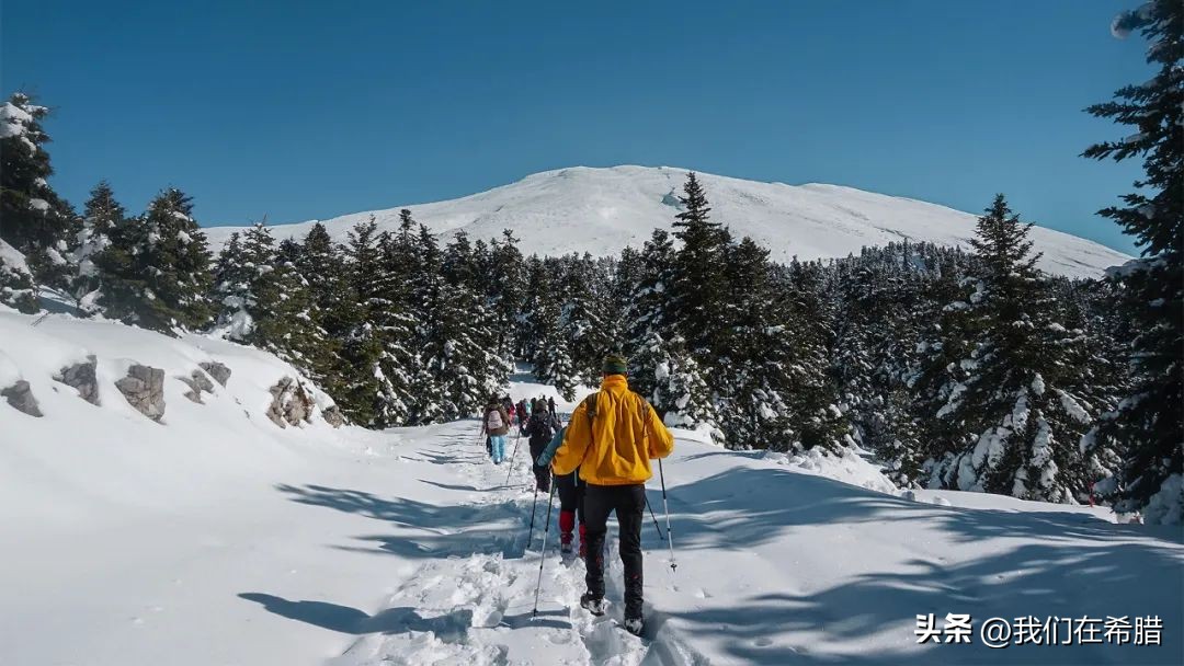 面对即将到来的冬季,面对寒风刺骨的冬天