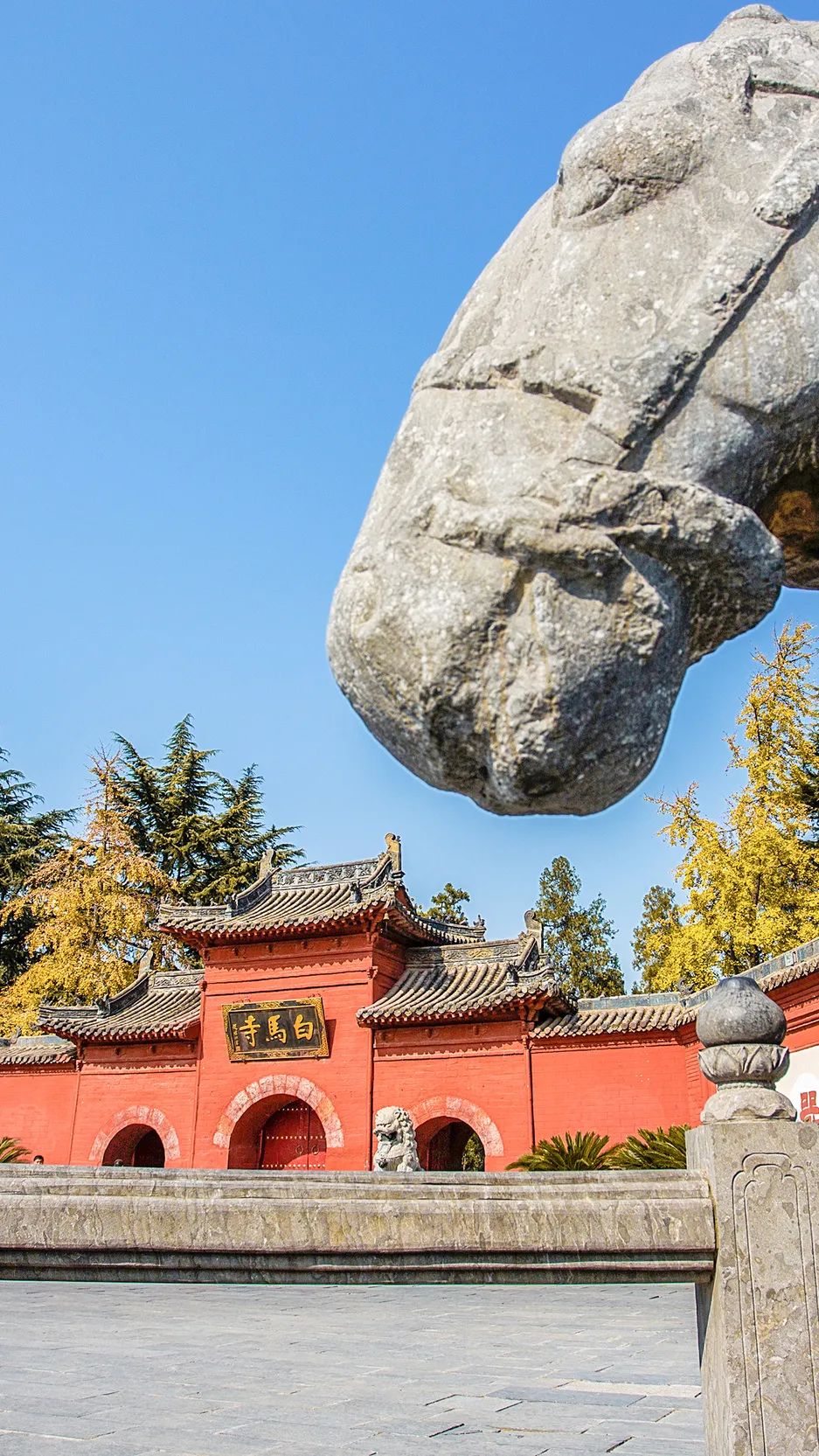 洛阳白马寺免门票政策,白马寺门票怎么预约