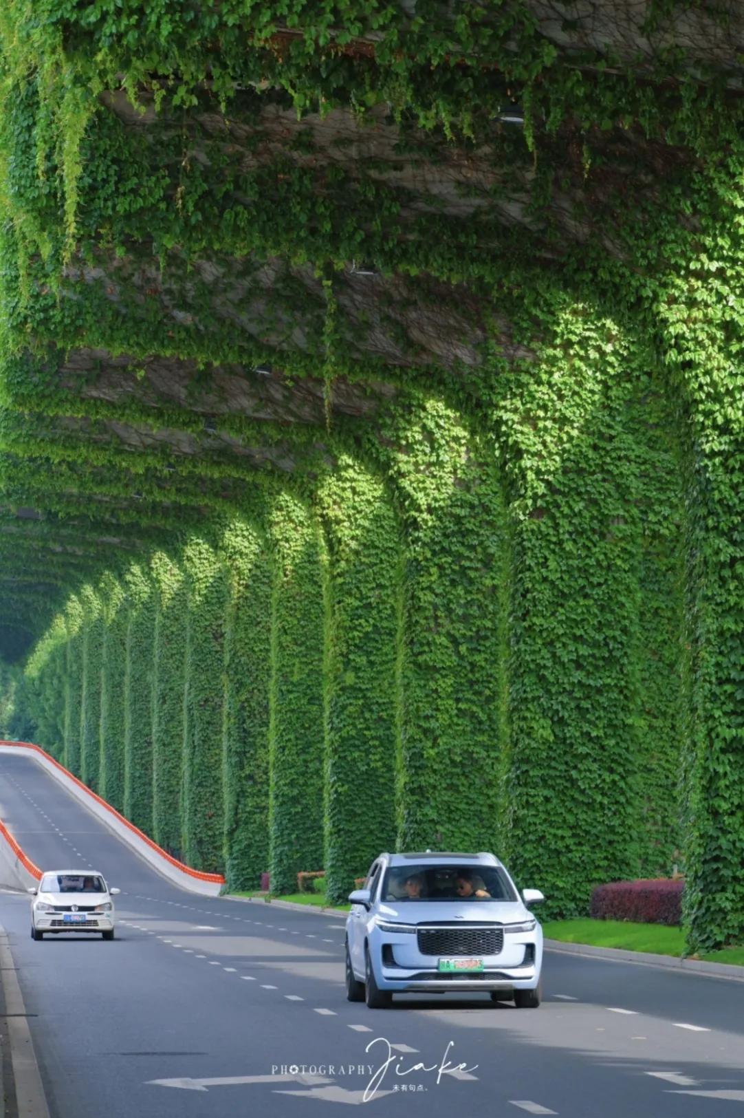 四川只有成都发展好吗,成都是不是唯一一座内陆城市