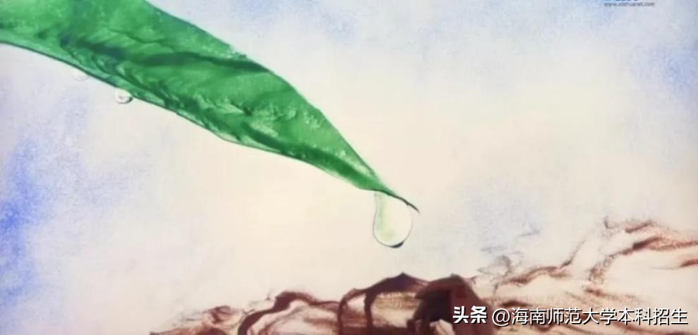 15岁考大学!女神沙画师：作品被外交部收藏,华春莹、汪文斌点赞