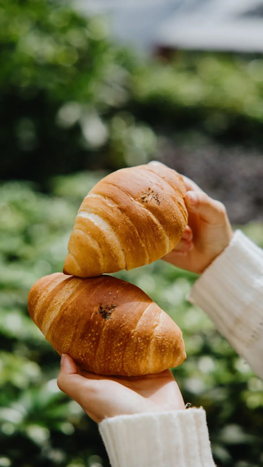 “面包脑袋的天堂，藏在东山口博物馆里”