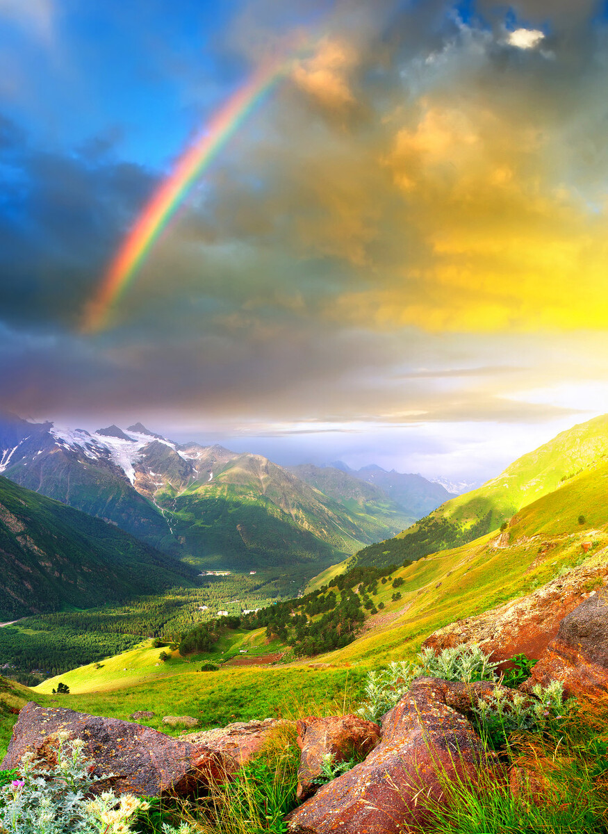 我为什么决定创业（二）