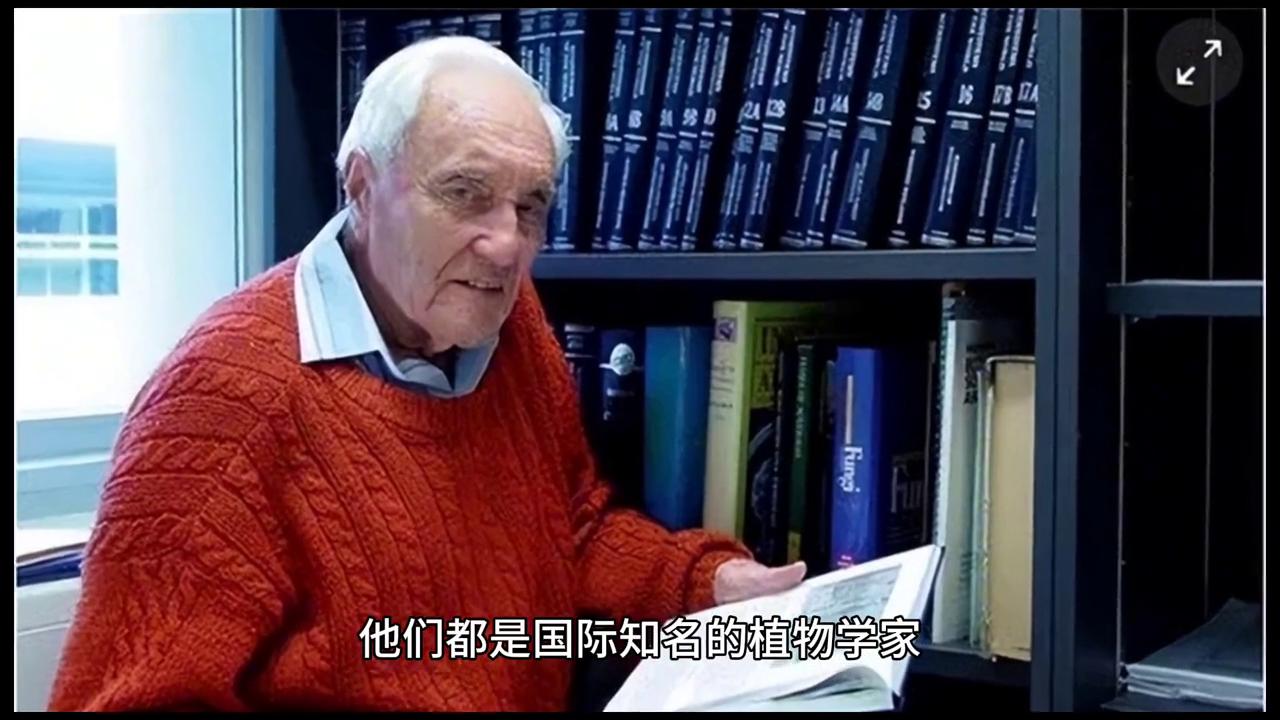 蒜苗小蒜,蒜苗小蒜苗