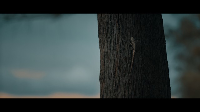 杨绛这辈子最后悔的事,杨绛治愈自己情绪的句子