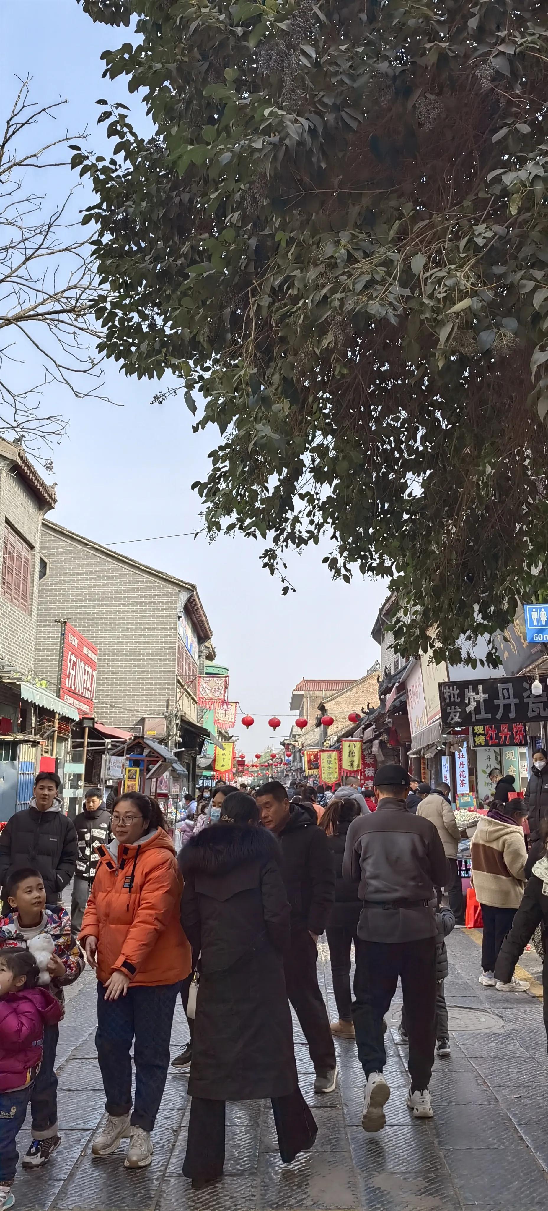 洛阳丽景门改造,洛阳城墙丽景门规划图