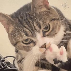 360智脑全家桶开放,如何清理360全家桶