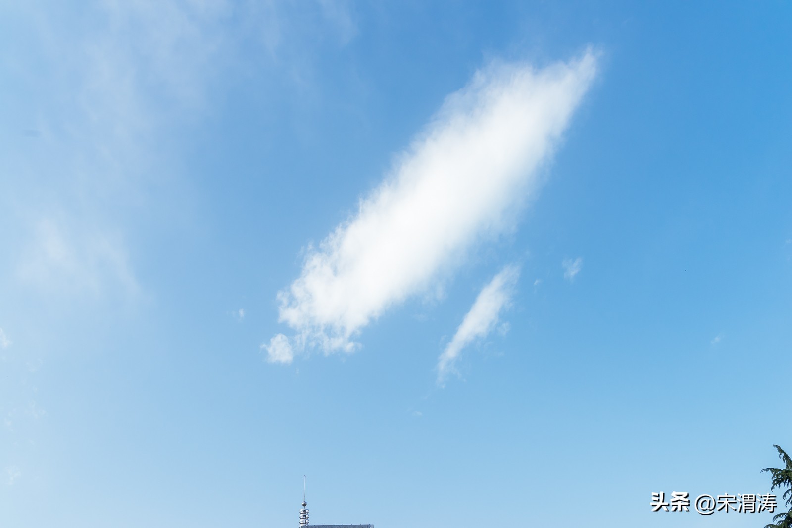 宋姓起源,山西洪洞宋姓起源