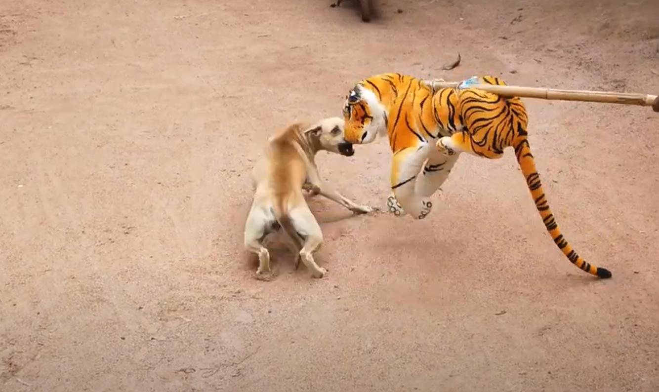 男子把狗吓尿,男子遇到怪物被吓尿