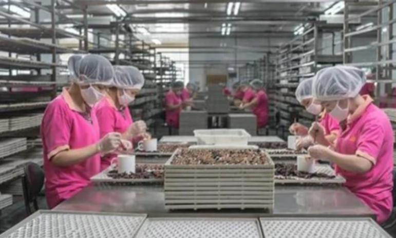 槟榔大王死亡之谜,槟榔大王死亡事件