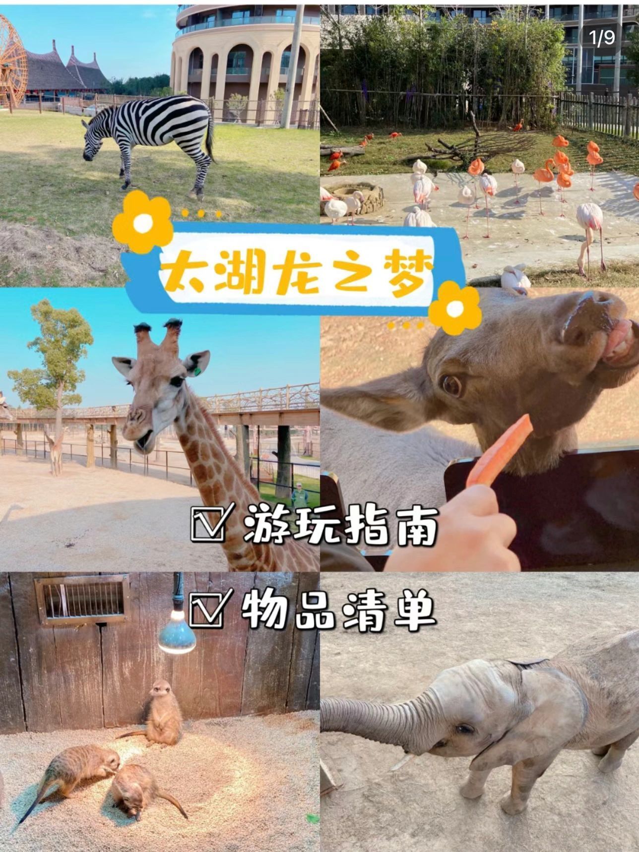 南京有什么亲子好玩的地方,南京亲子一日游必去景点