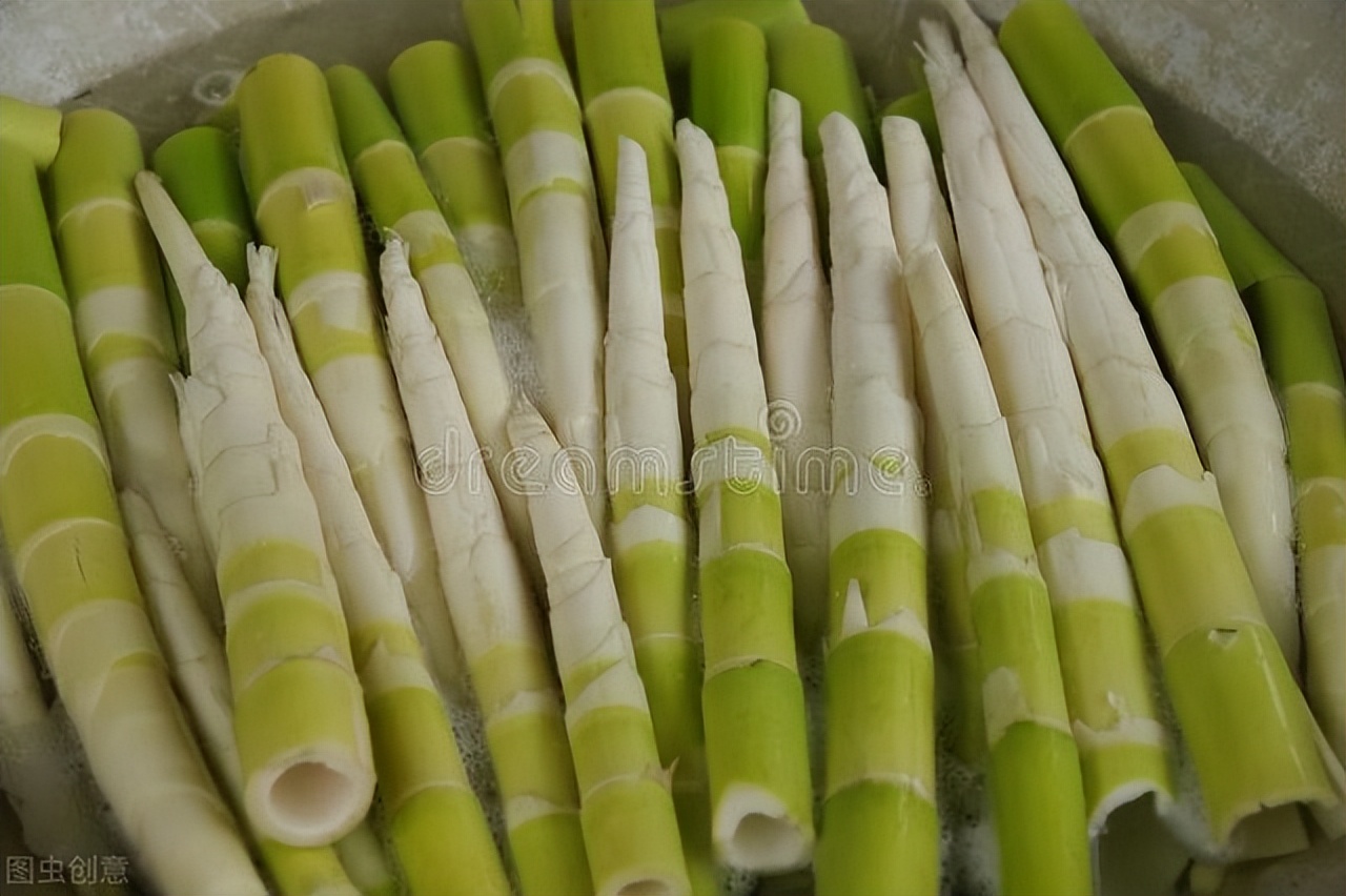 描写竹子古诗词大全100首,描写竹的古诗25首最简单的